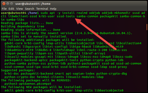 Join Ubuntu Workstation to a Windows Domain - Install Realmd and SSSD